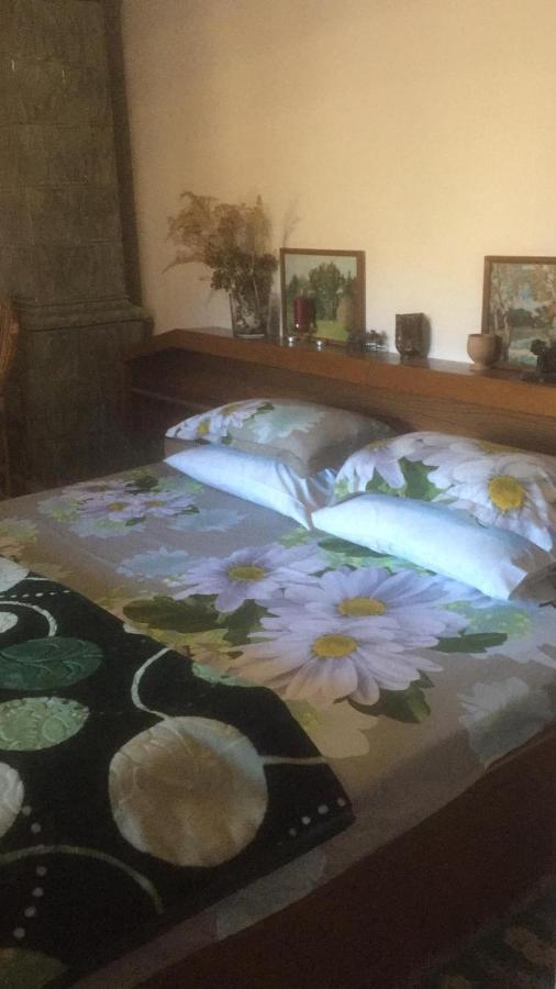 Vila Licurici Căciulata Kültér fotó